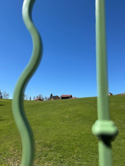 Chic & Champetre Au Coeur Du Haut-Jura Lamoura Eksteriør bilde