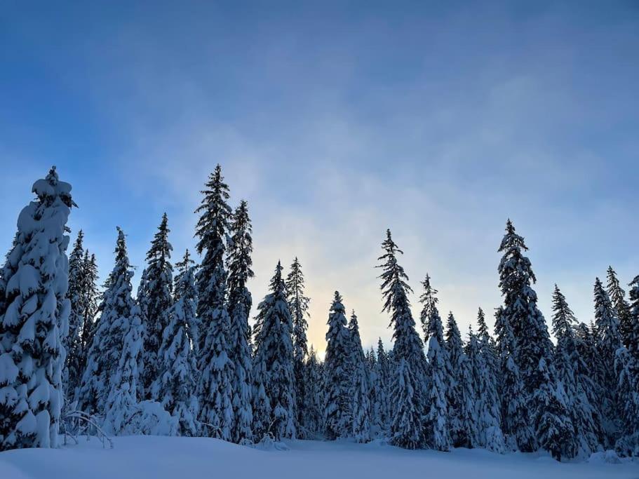 Chic & Champetre Au Coeur Du Haut-Jura Lamoura Eksteriør bilde